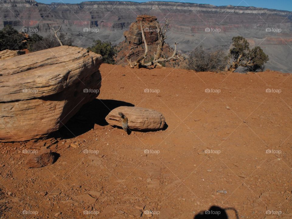 Hiking to the base of the Grand Canyon in Arizona