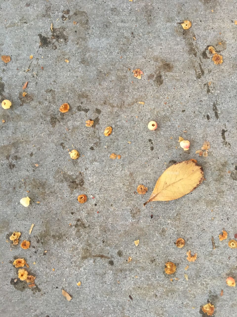 Simple and beautiful 