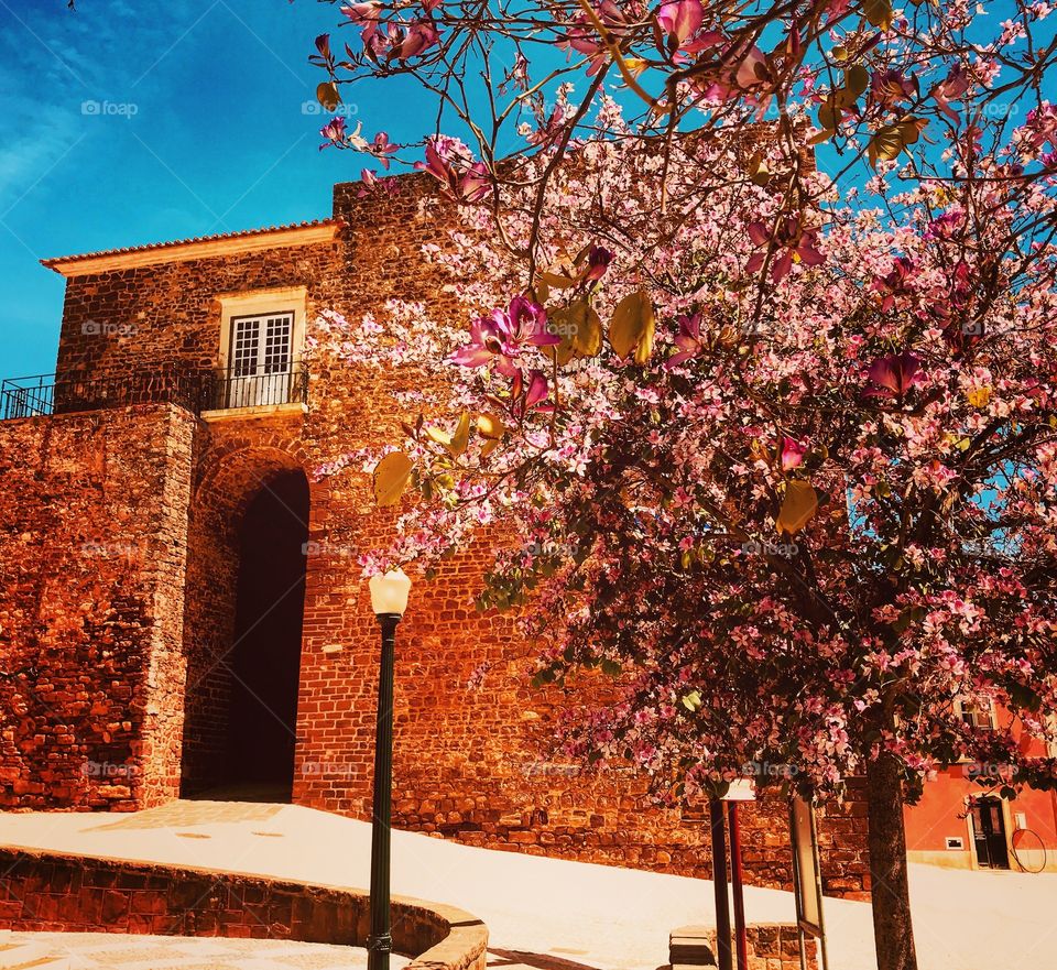 main entrance of Silves Castle, Portugal