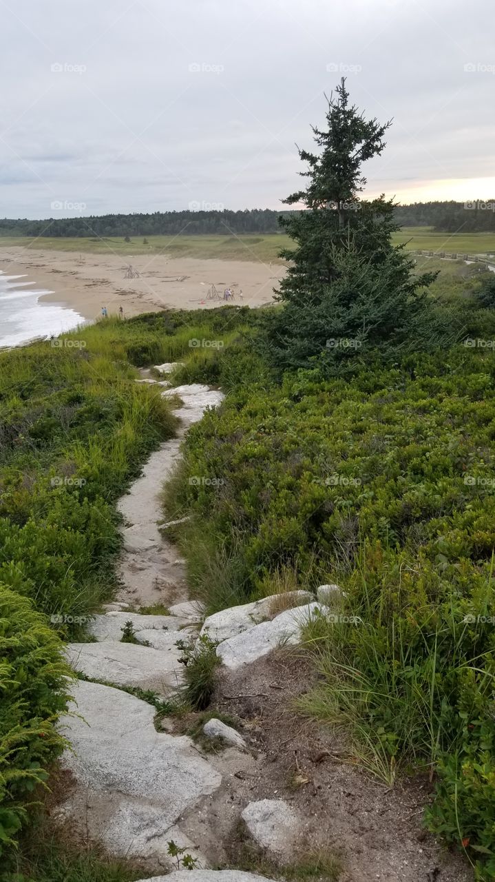 Beach trail.