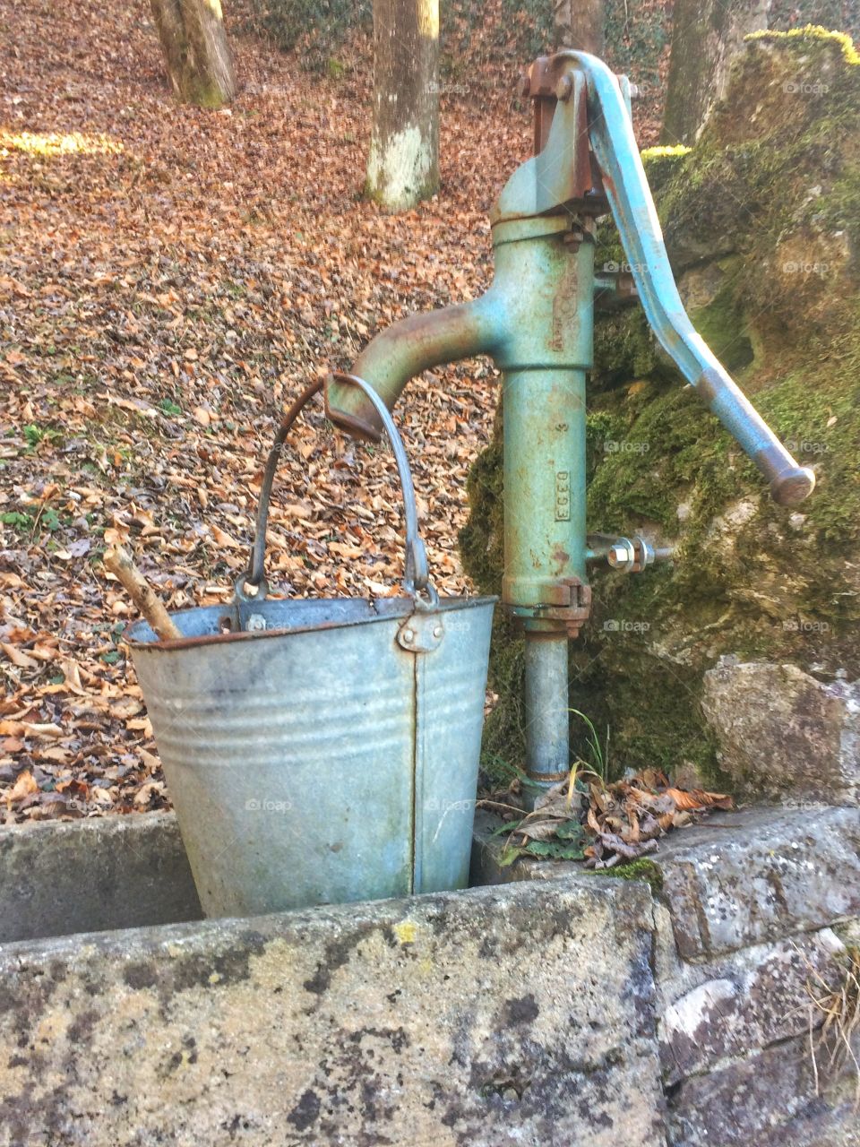 Old fountain in the forest 