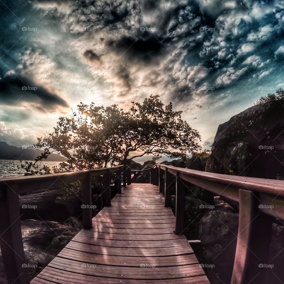 Sunset, Landscape, Dawn, Wood, Nature