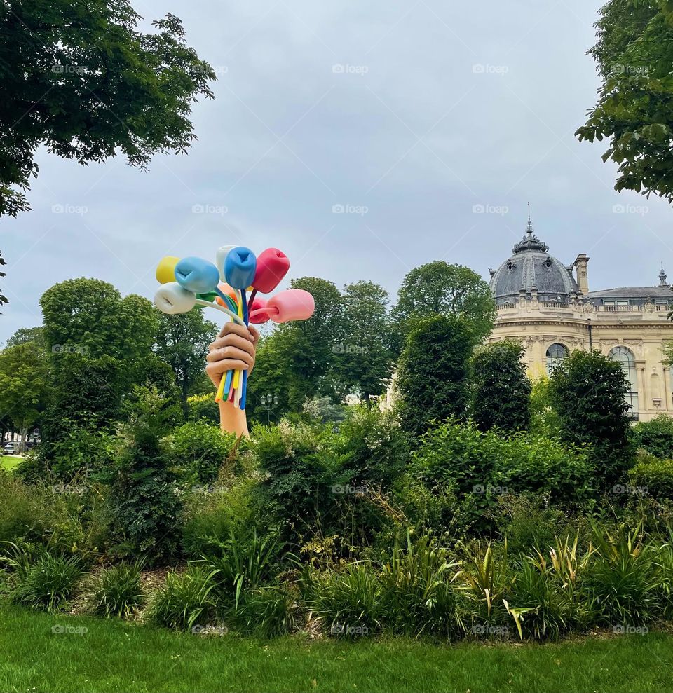 Enjoying the green environment and the colors of the tulips