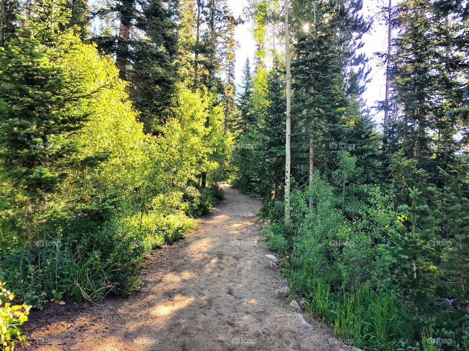 Hiking trail Herman gulch Colorado 
