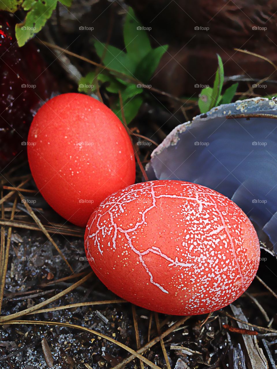 Orange eggs and blue agate.
