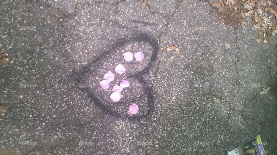 charcoal art. a heart with scattered rose petals inside on cracked asphalt.