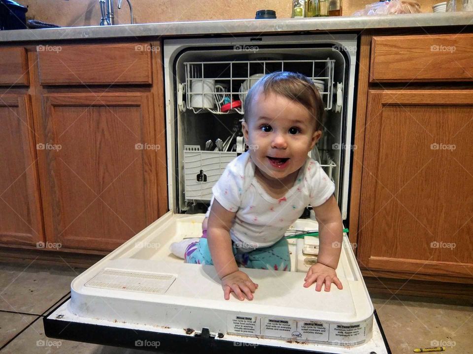 Baby in a dishwasher