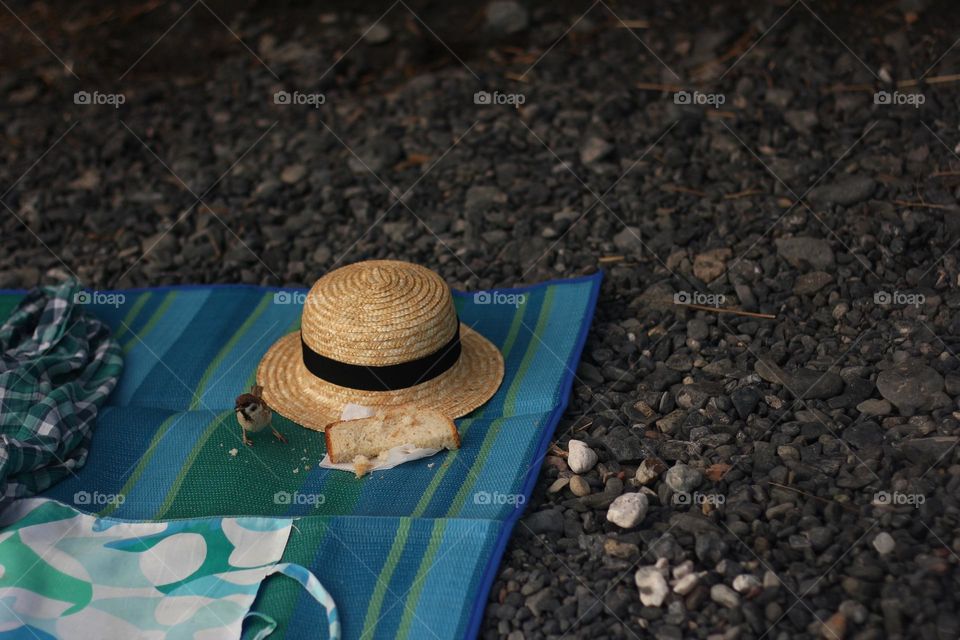 Sparrow on a beach mat eating leftover bread