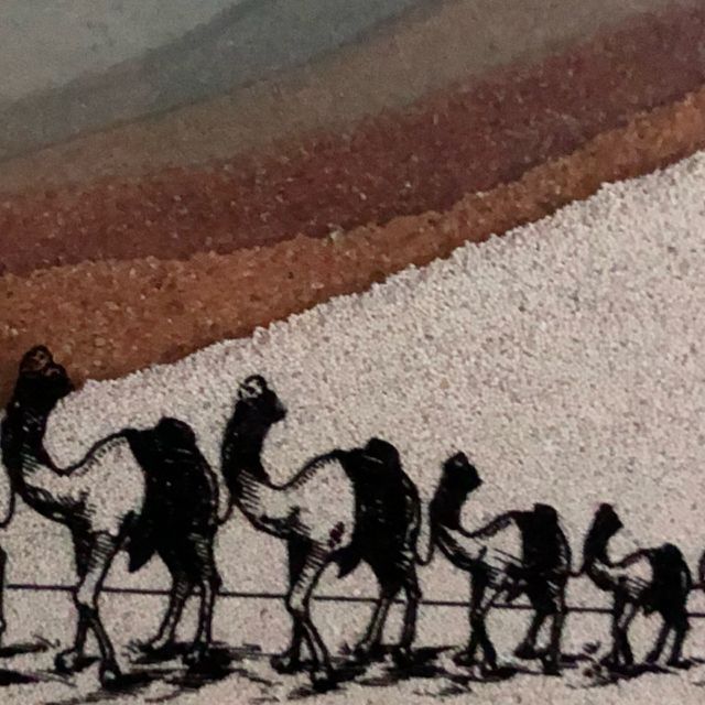 Camels Trekking Through The Desert