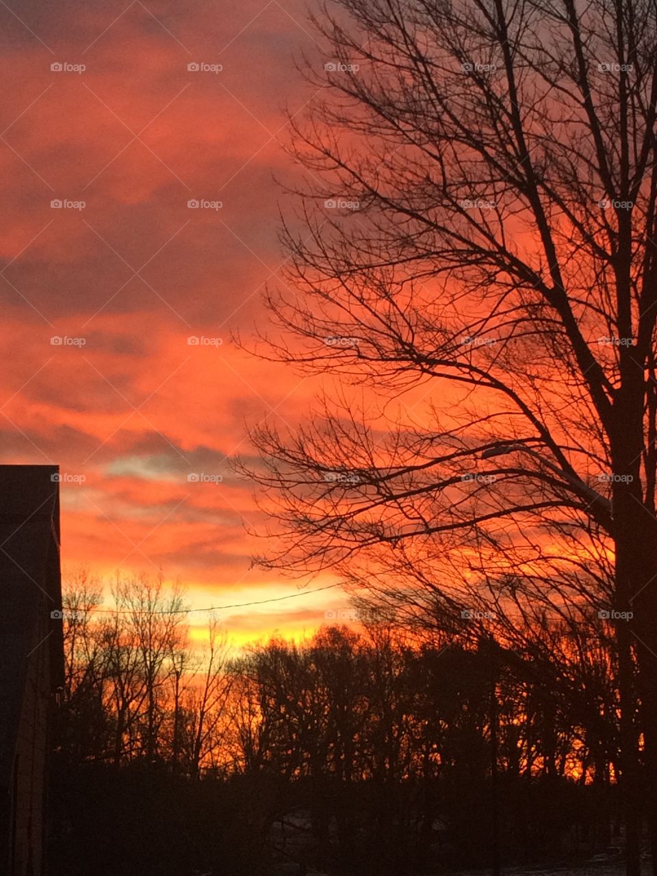 Red Sunrise 