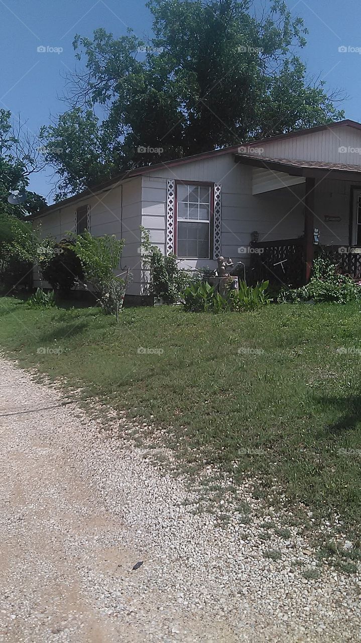 squirrley. this squirrel is having lunch on the tree stump
