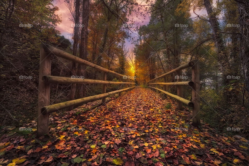 Autumn in the bridge