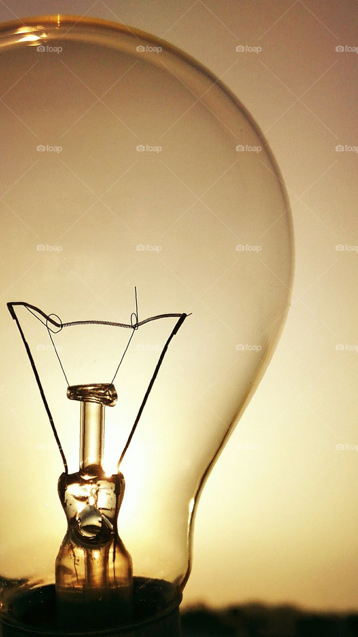 Sunlight through bulb