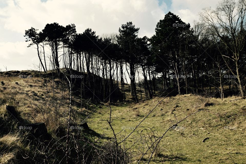 all 'bout perspective