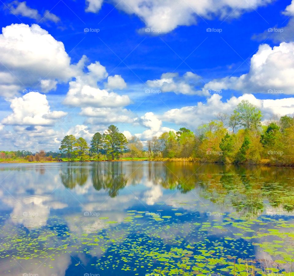 Trees and clouds reflecting on lake