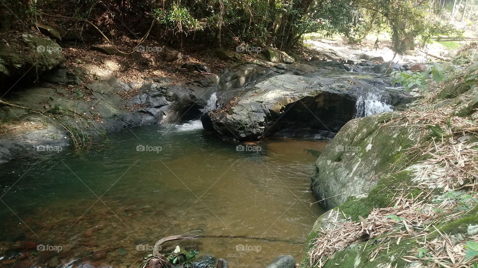 Wald, Bach, Wasser, Loch.