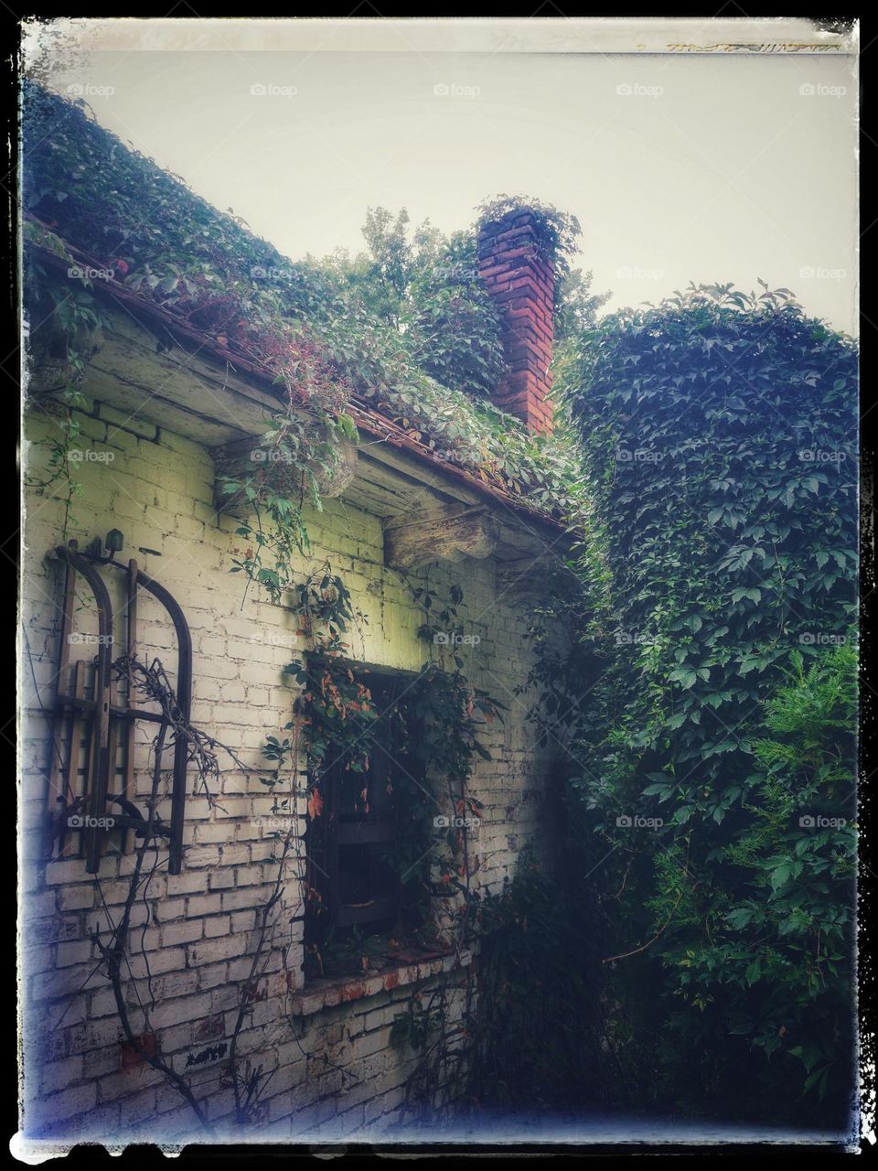 An old house overgrown with greenery