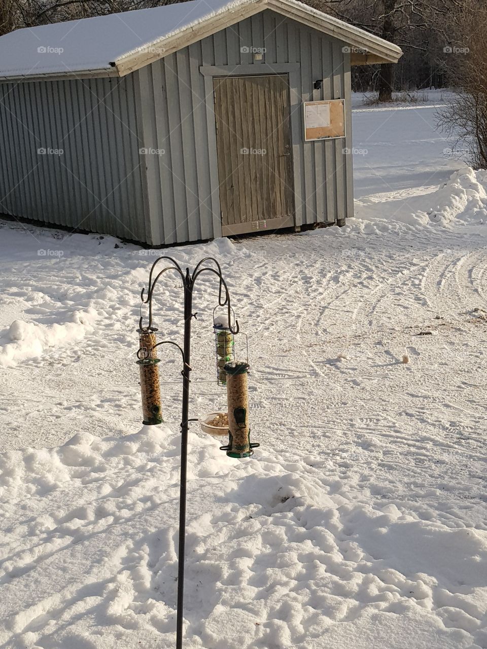 bird feeding station in front of garbage house