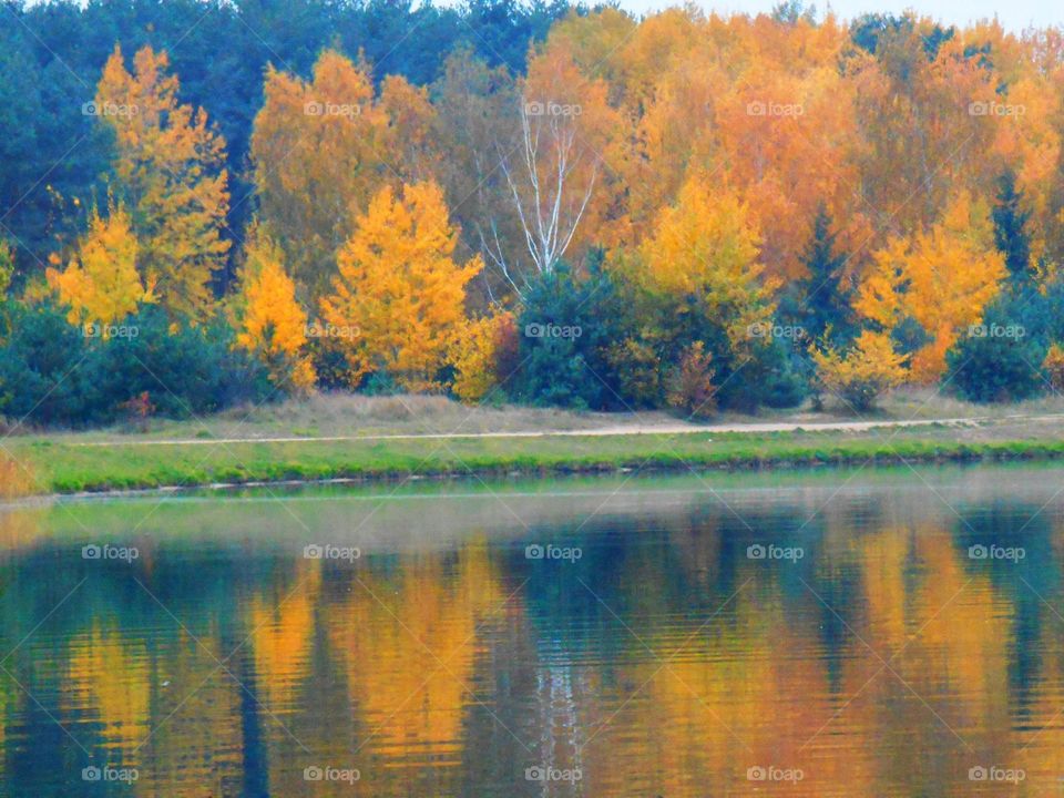 Autumn trees reflected on lake