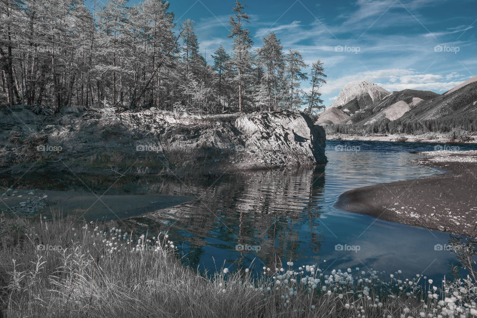 infrared landscape