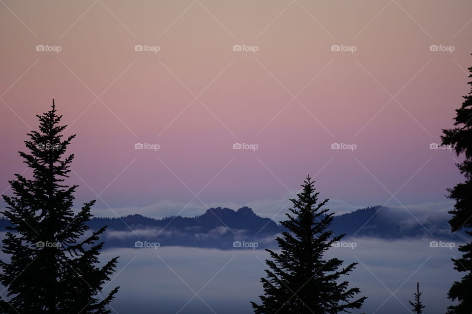 Sunrise in Mt. Rainier National Park.