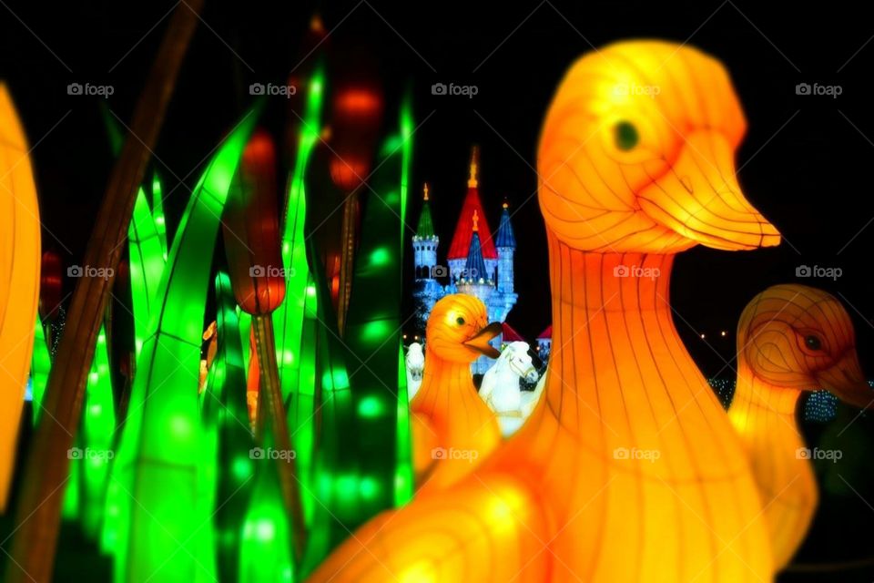 Illuminations and giant ducks