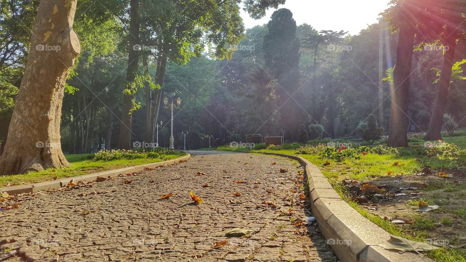 trail park. park track lonely in istambul