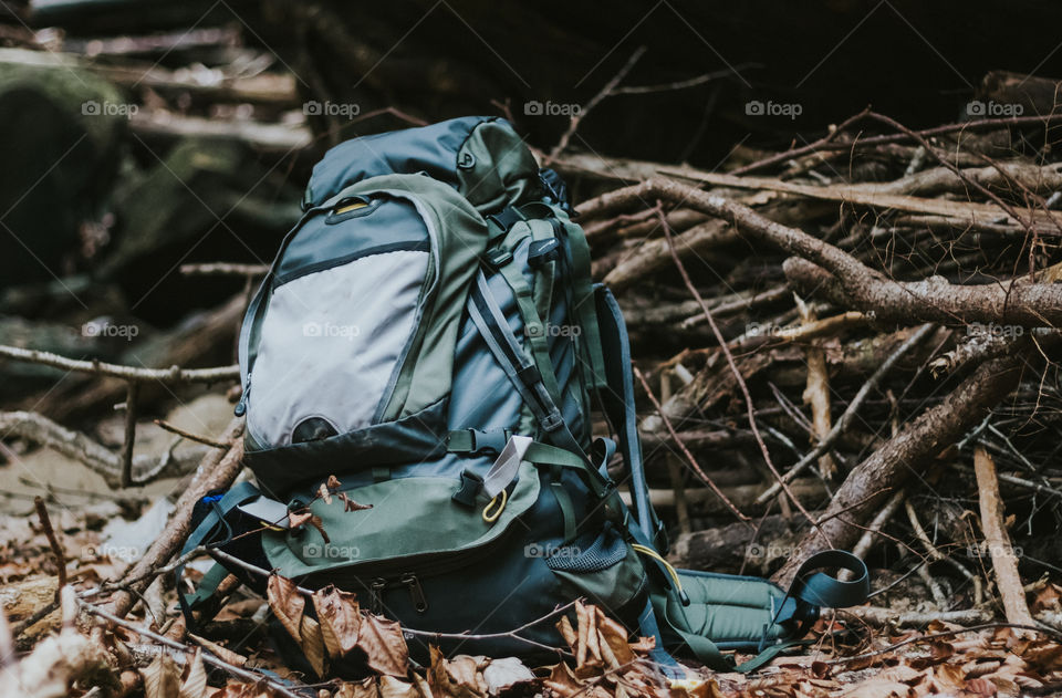 Mountainsmith Backpack in Woods