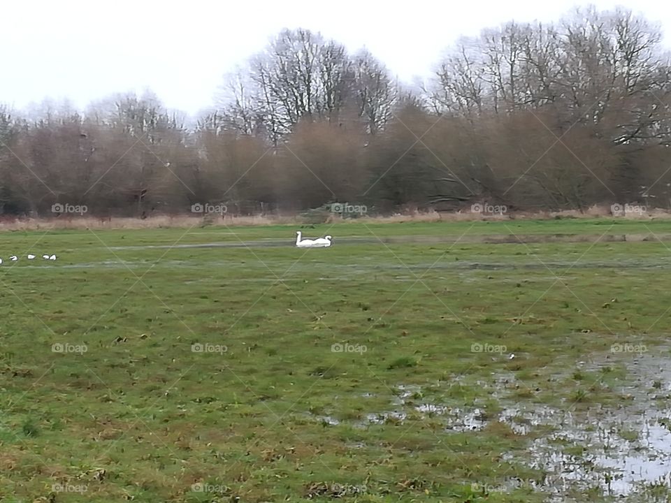 Where does one start and other end