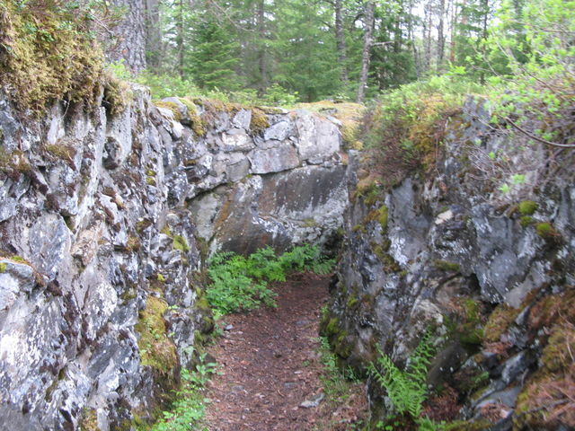 Nature