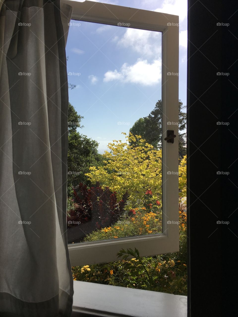 Garden view through the window 