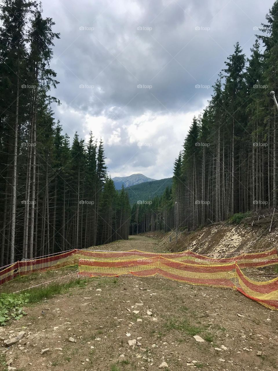 Carpathians mountains 🏔