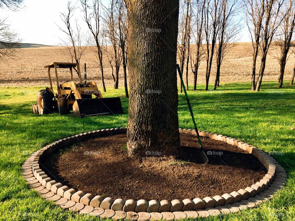 Springtime Yard Work - rural area, front yard, parked tractor, planter around tree ready for planting, rake leaning against tree