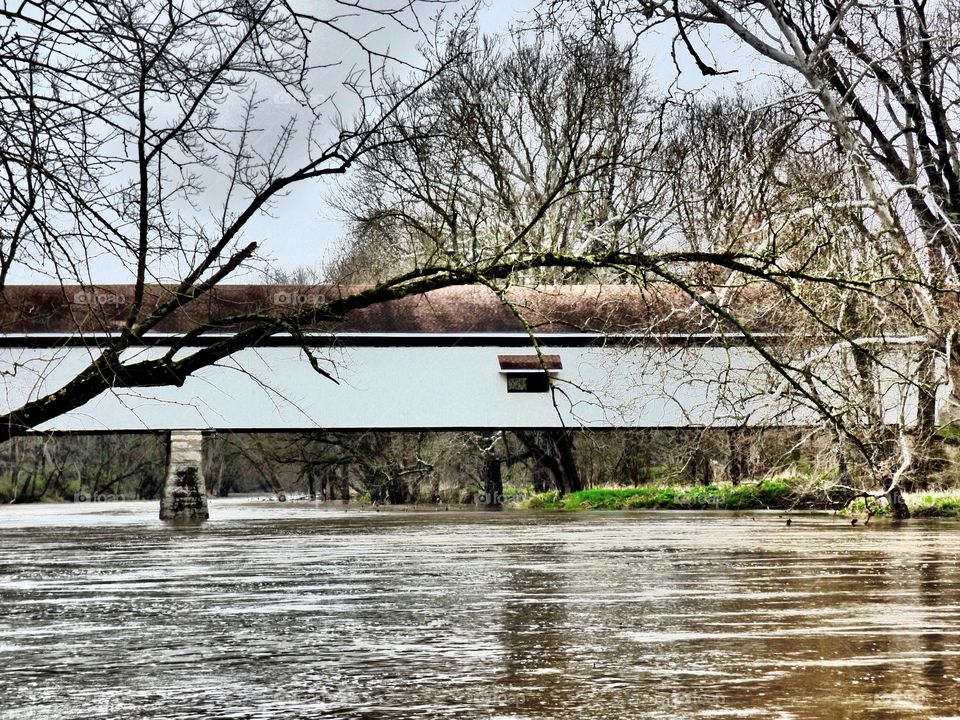 Spring down at the old potters covered bridge park 