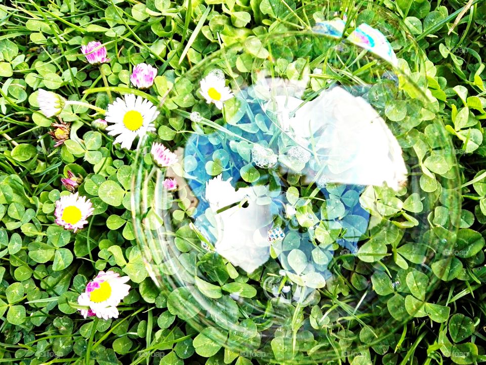 blue shinning bubble in pink spring flowers