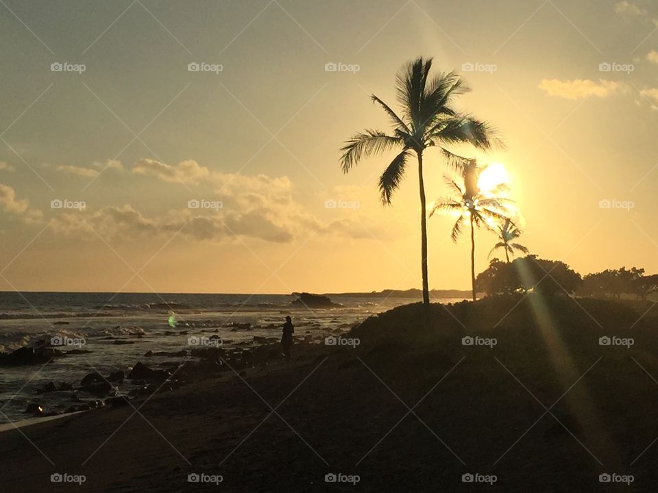 Scenic view of beach at sunset