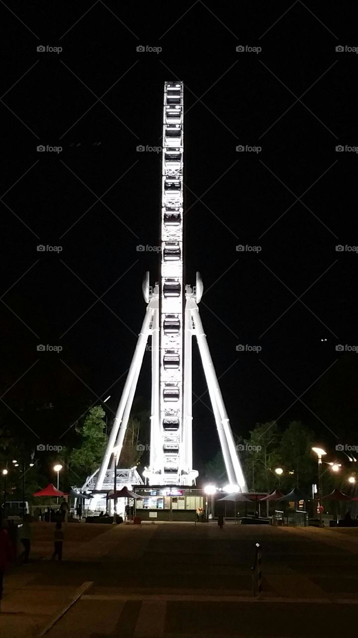Brisbane wheel