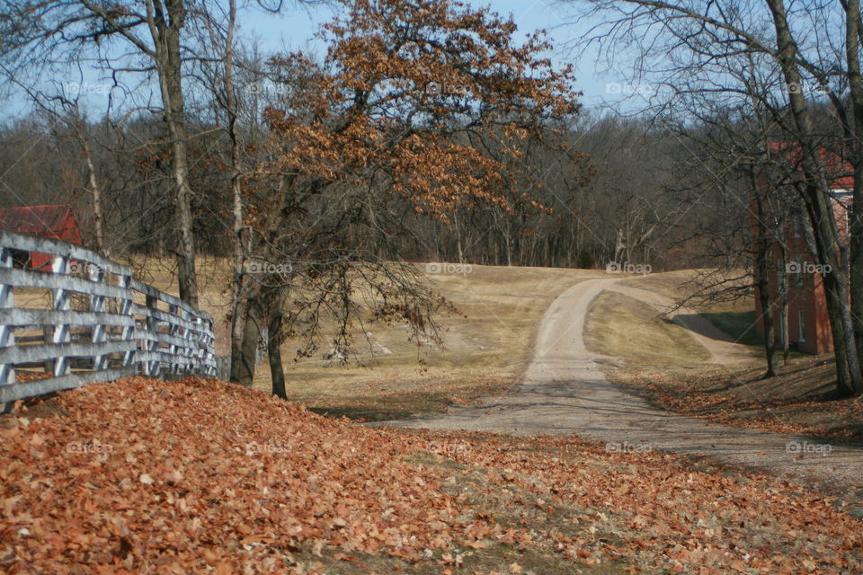 Winter View 