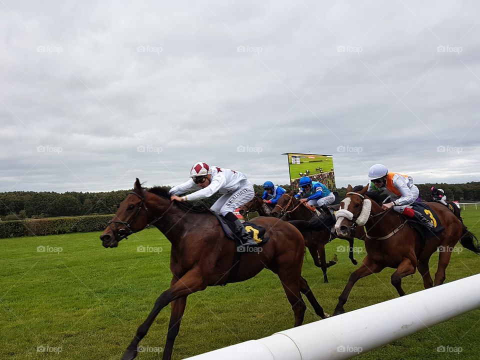 A horse race on the racecourse Hoppegarten in Berlin Germany on a cloudy day.