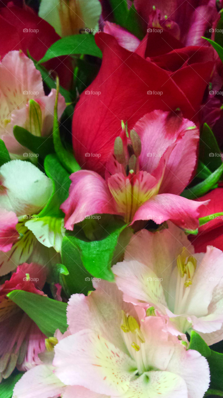 "Red Rose Flower Bouquet"