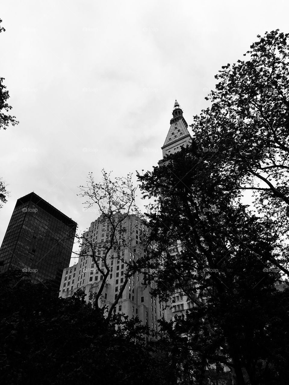 No Person, Architecture, Monochrome, Tree, Building