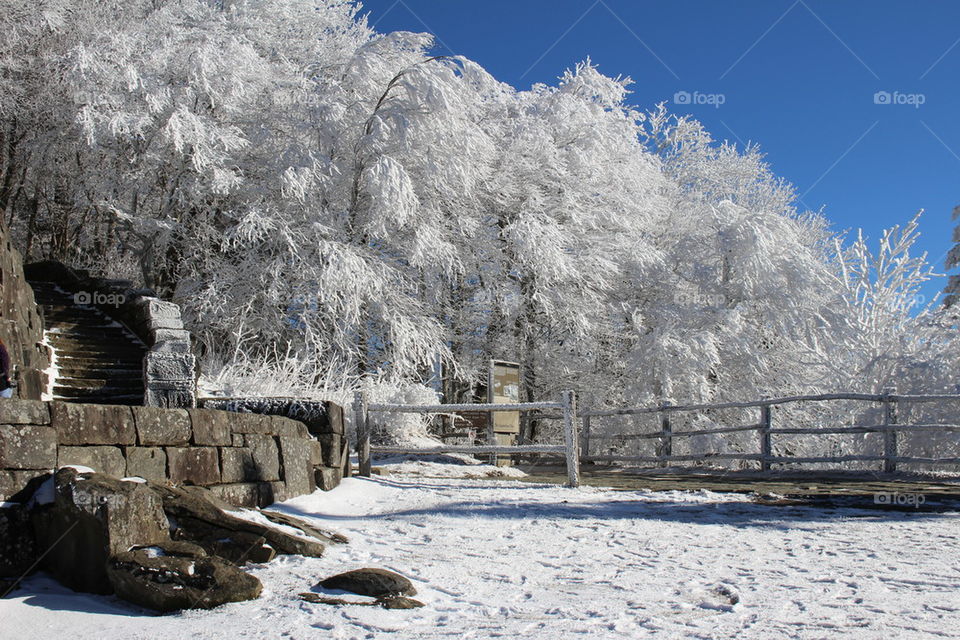 Winter Scenic View