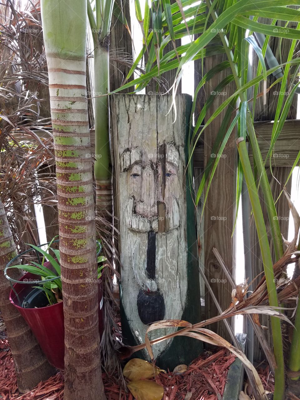 tiki man