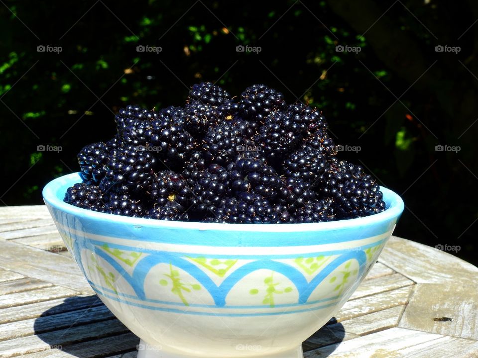 Blackberries in a bowl