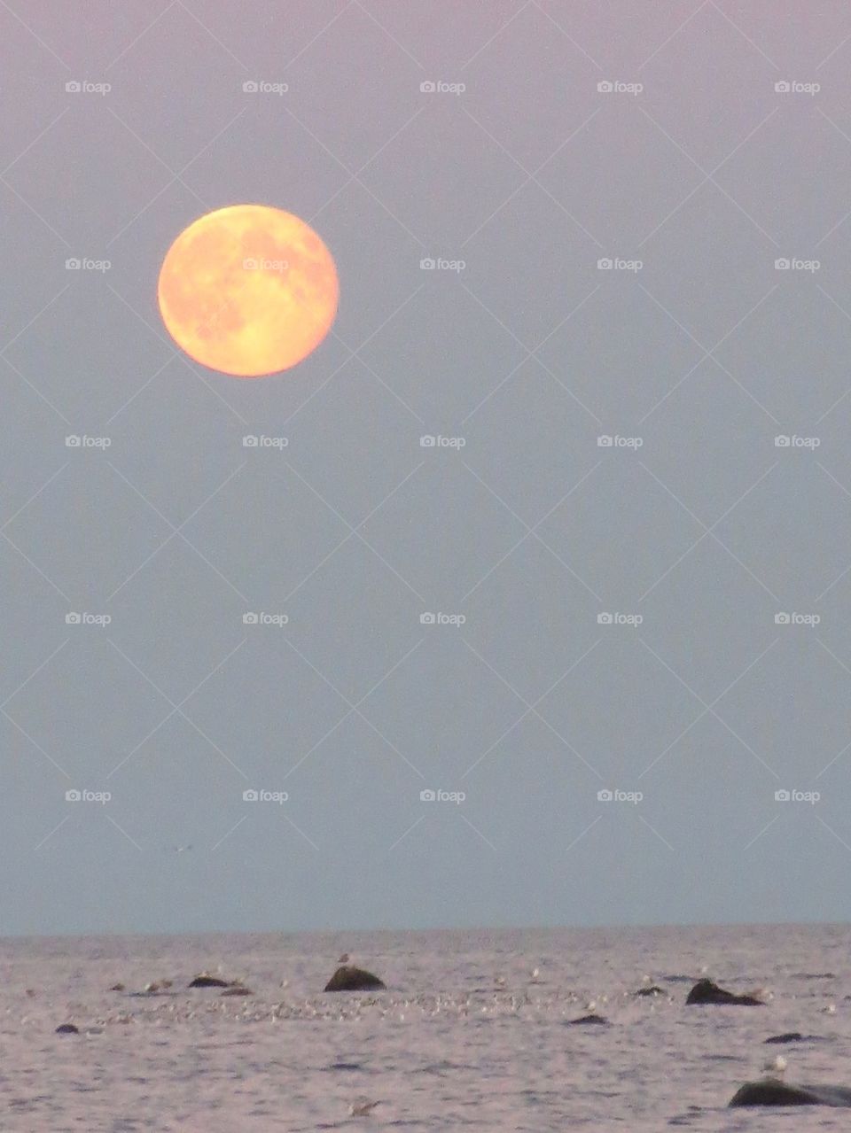 Full moon over Baltic sea