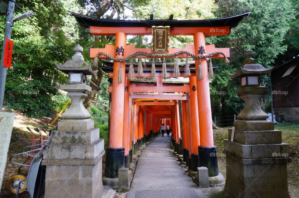 Fushimi Inari shrine Kyoto Japan