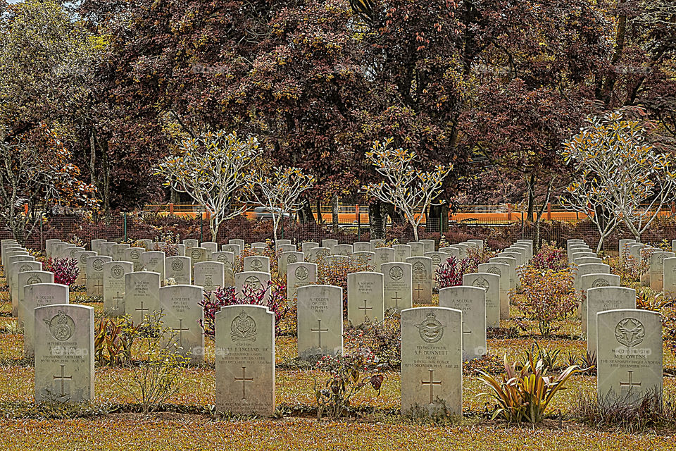 cemetery of british soldiers