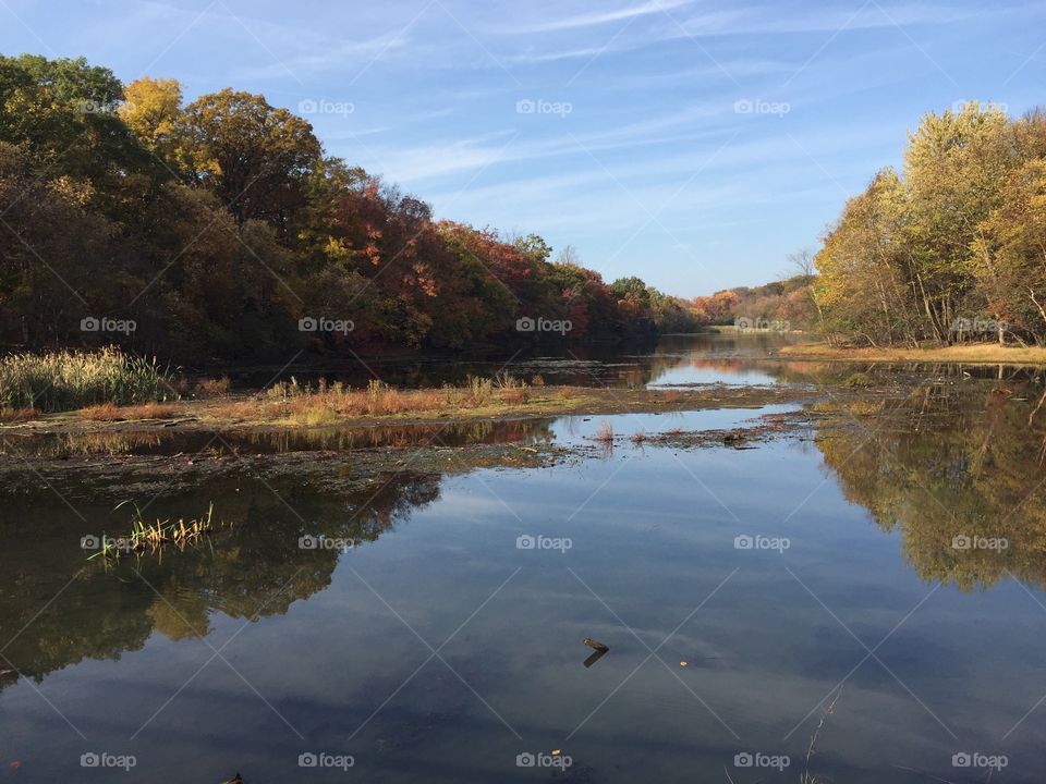 Lake view