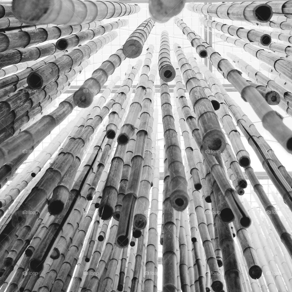 Detail of a bamboo installation that seems to fall from the sky