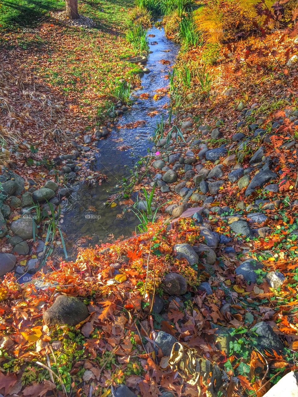 Colorful Creek